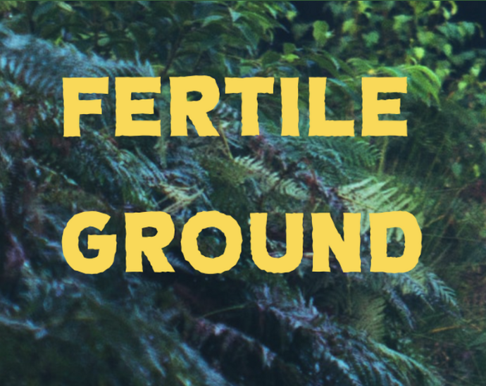 Cover image for Hunters Inc: Fertile Ground