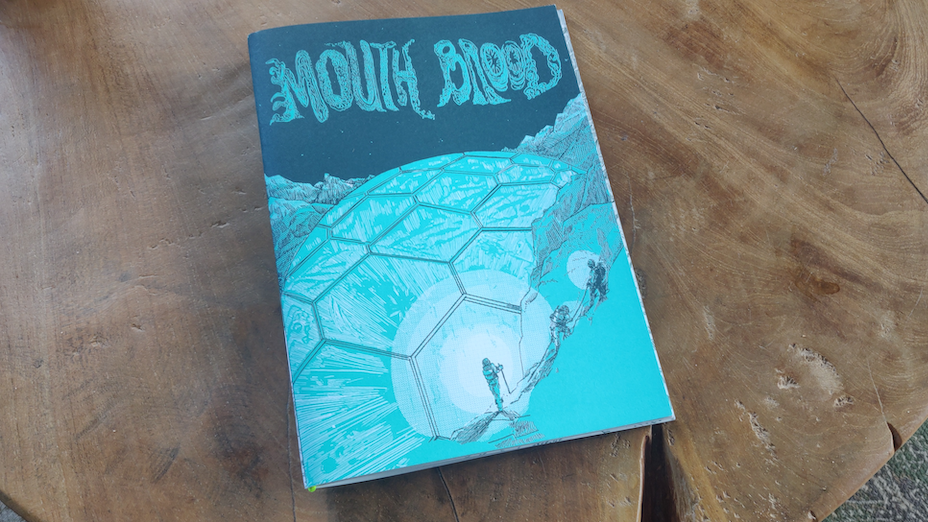 Cover image for Mouth Brood - an investigative ecological sci-fi adventure