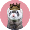 Ferret's avatar