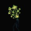Funky_Rhizome's avatar