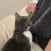 Dave J's avatar
