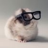 Svenja (@sv_enja)'s avatar